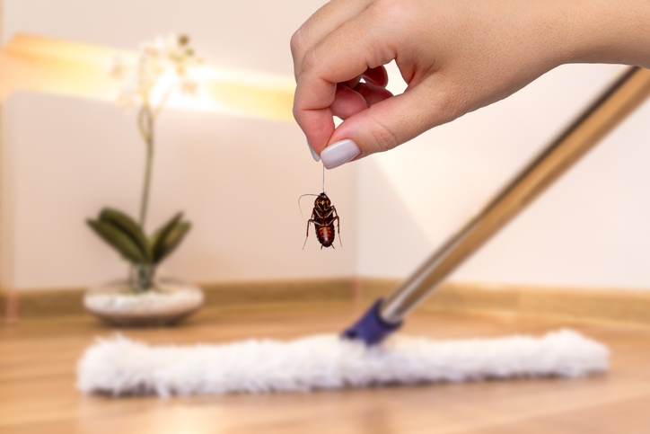 Pest Exclusion 2